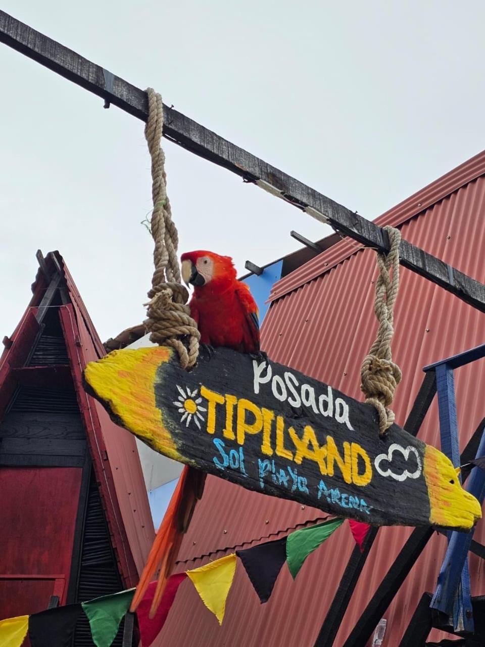 فندق Tipiland Baru La Casa Del Mono بلايا بلانكا المظهر الخارجي الصورة